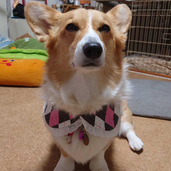 Ff303dc8 4133 4996 88f1 46a74d437ed0 1763898278489