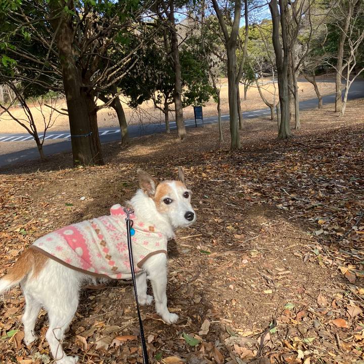 Ff30912e 5132 4c53 a60c 322b5a299cf5 1706483959261