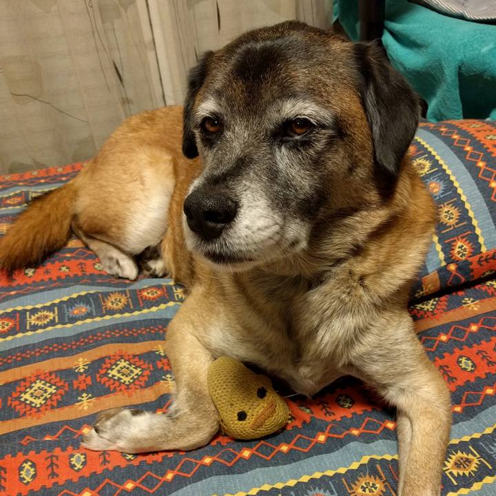 Ff310b60 14c5 4b01 b9ec d17ddaa7e956 1708134337185