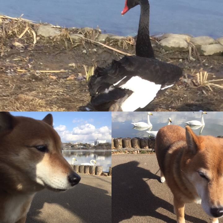 Ff315a35 1d6f 4f90 874c 043d8c0dc57f 1549183123988