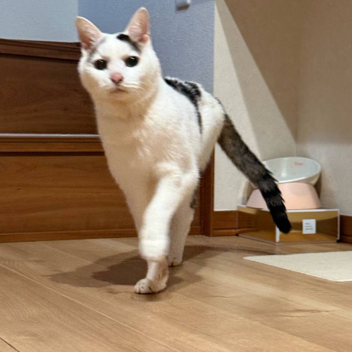 Ff317b59 1413 449e 9ad9 ada4fc2a2dba 1763936986341