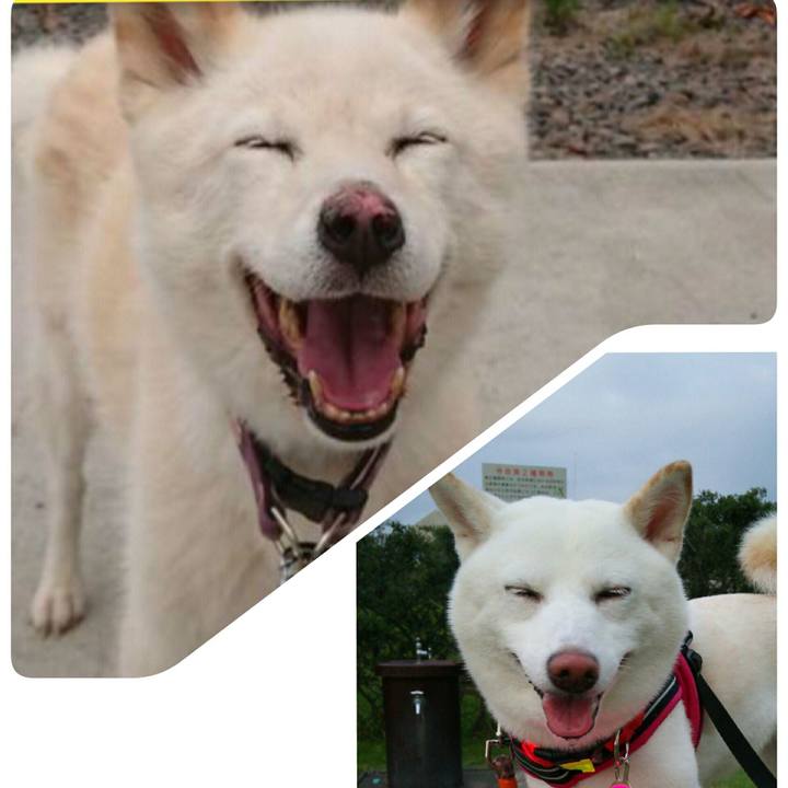 Ff317d85 0098 4ad9 a217 4b7bad779141 1567251041967