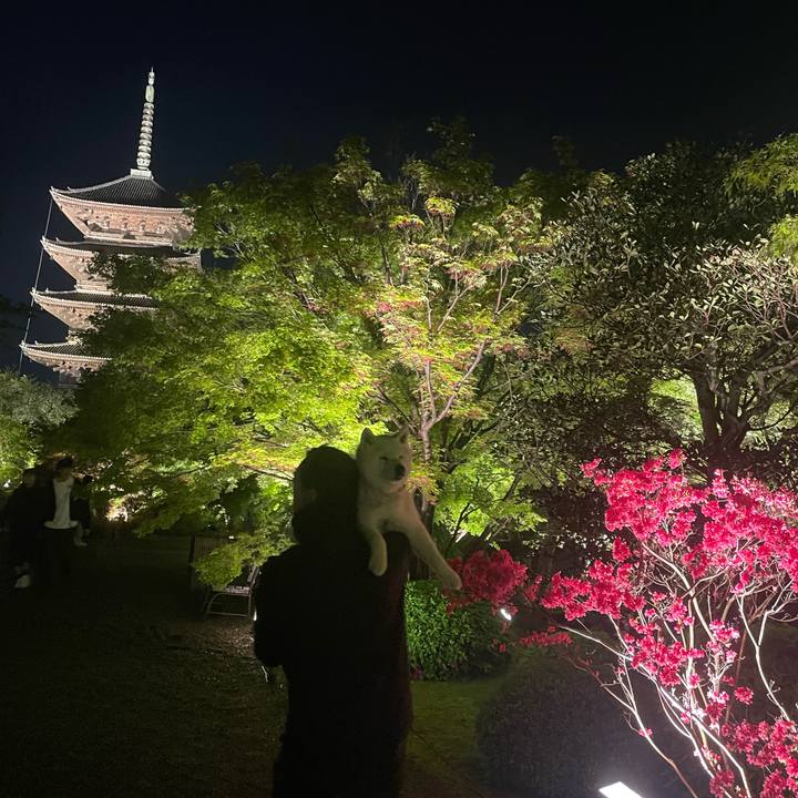 Ff31a6f5 9d26 42de 9589 1fef0b0d30da 1745894499620