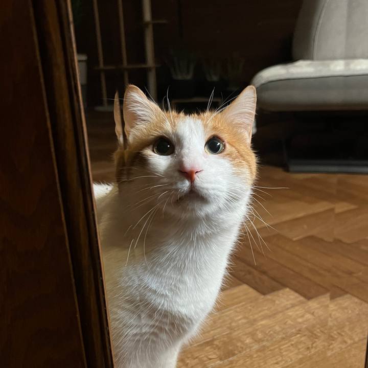 Ff31c850 4a20 4db4 a810 5dbb1542b7dc 1770378142553