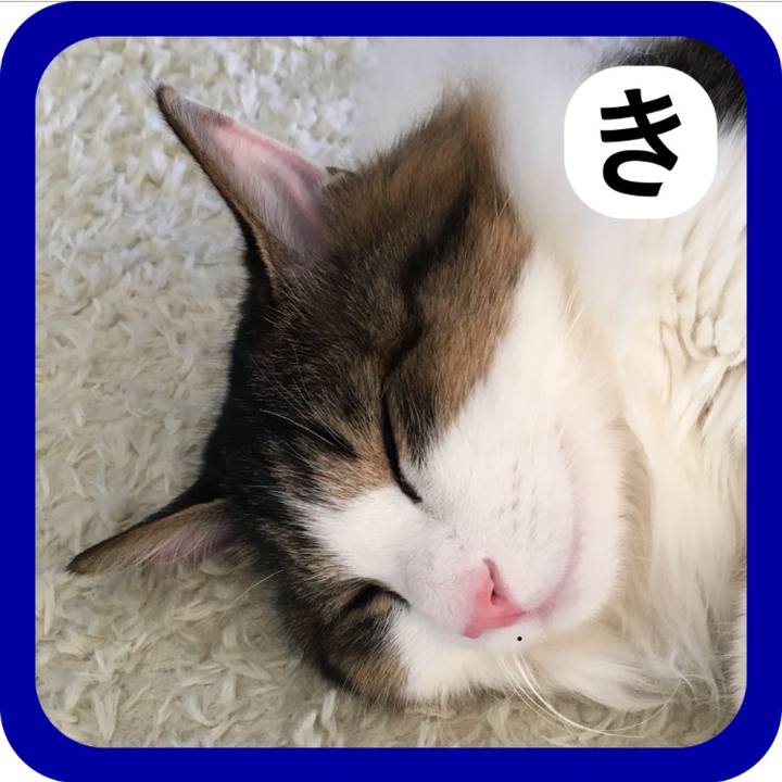 Ff31cfa0 3a5f 470b ba0a 1dc4d69ab7fb 1515153716519