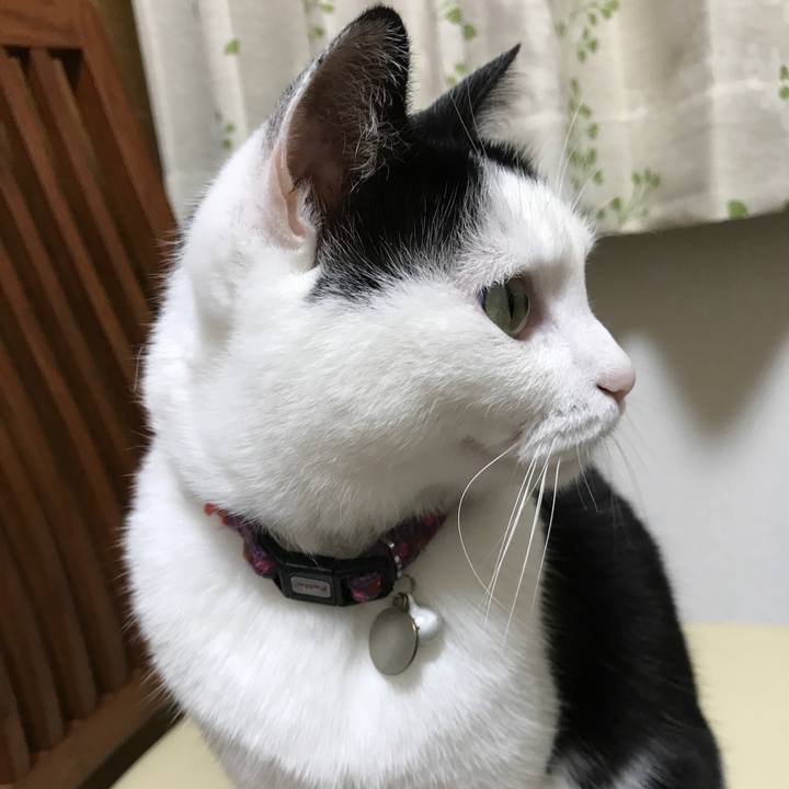 Ff31d9d7 651a 41e1 9999 0f84161440d8 1521603455118