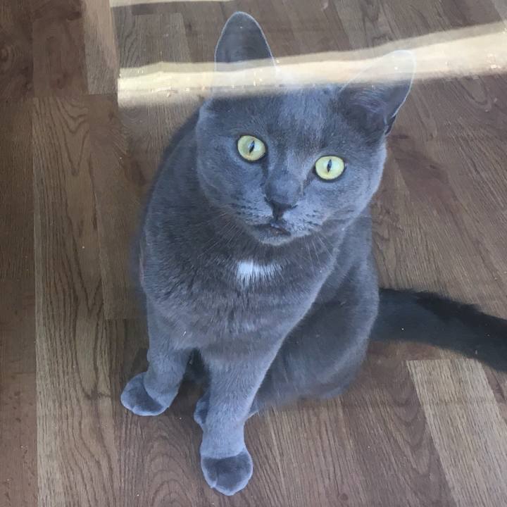 Ff31ed9e dcbb 4a5b b1ef 28f677eaca09 1619225592109