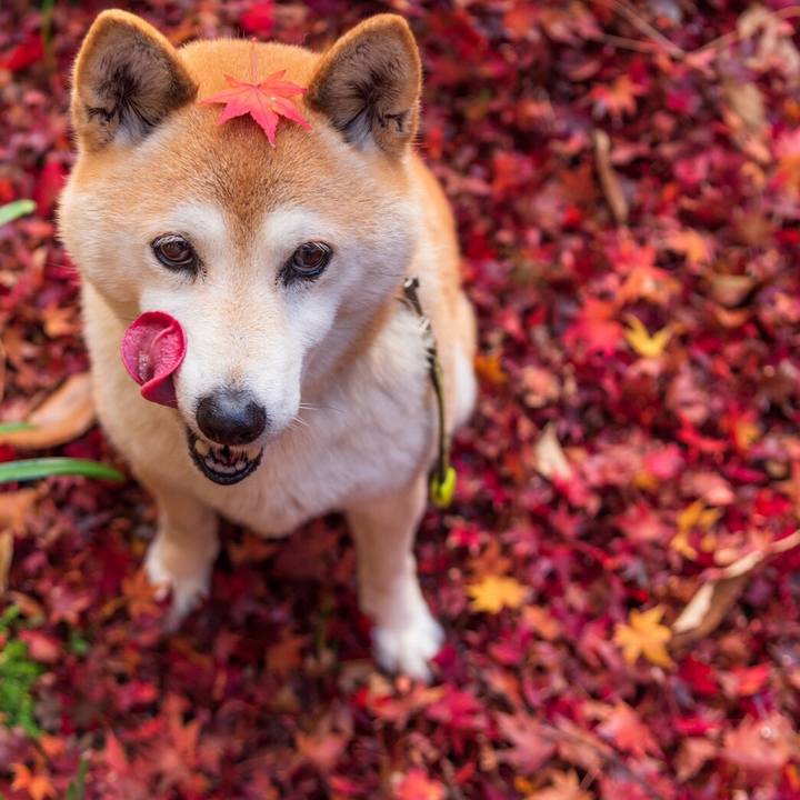 Ff322423 1df3 411d 8cf6 49fe578698b3 1576916285757