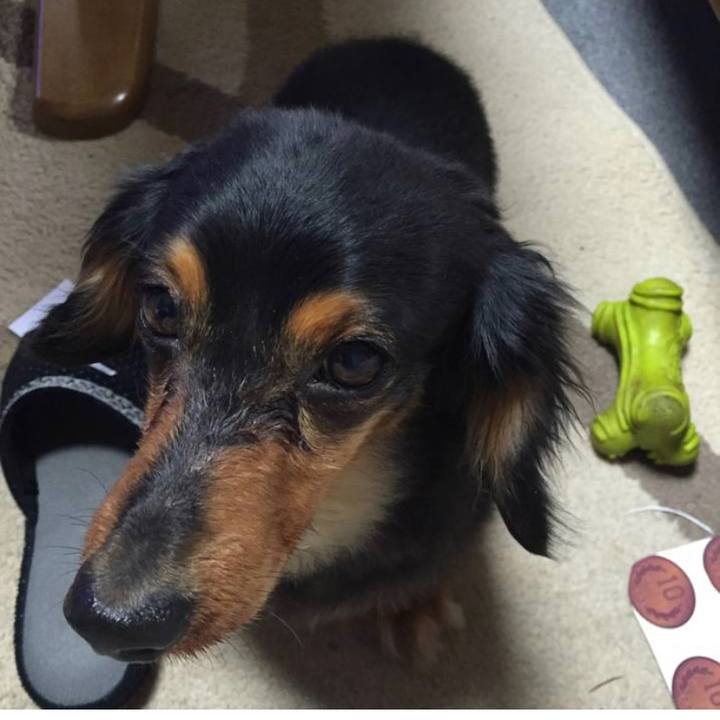 Ff32309f c69a 4108 a8e0 a47c0dd2b45d 1591331273113