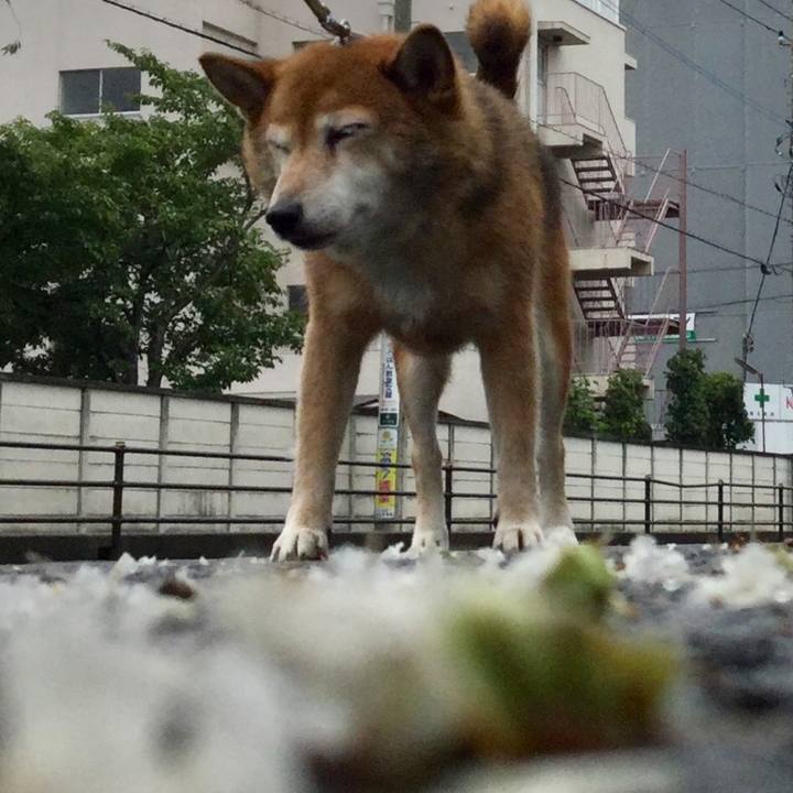 Ff323d47 54b2 40b5 bbb5 89076f41072d 1629163697769