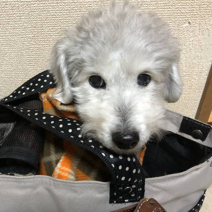 Ff325ba4 f0c6 4c33 9c09 1fce25e81e90 1579685284258