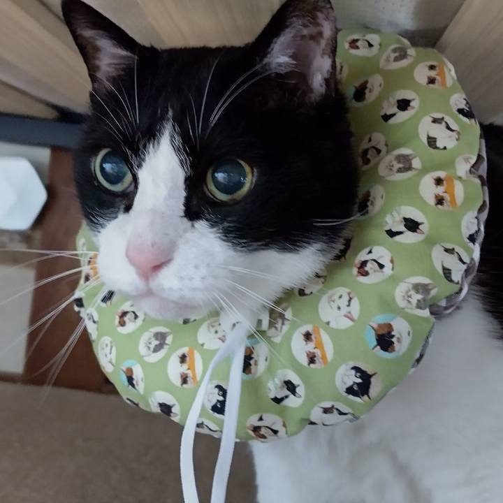 Ff327034 016f 46c3 b5b2 f4559956acd9 1643547971441