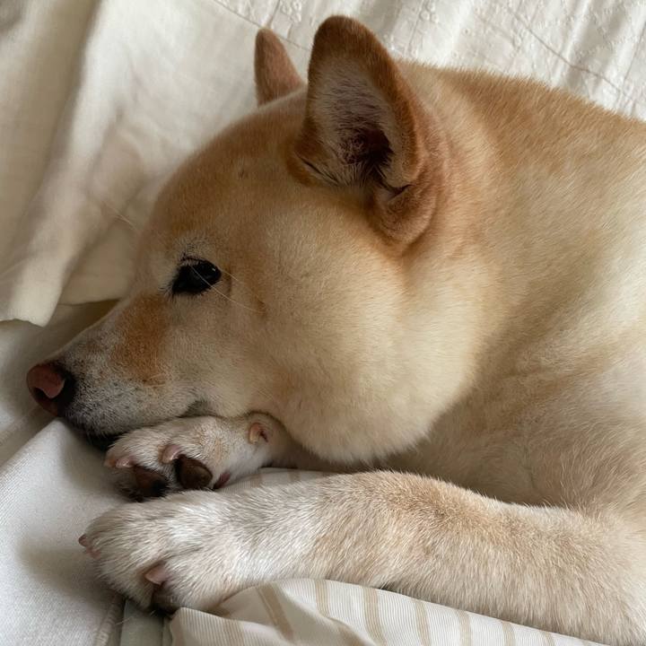 Ff32808a cfe2 40da 98be e909a6242525 1720229892763