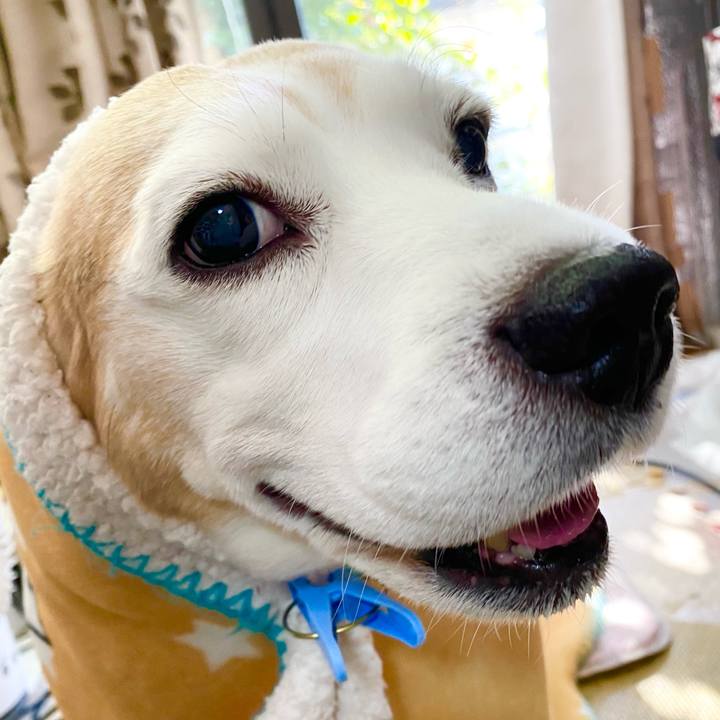 Ff32c71d 6f8d 4ad5 8fcc 05ad07462fda 1638590483882