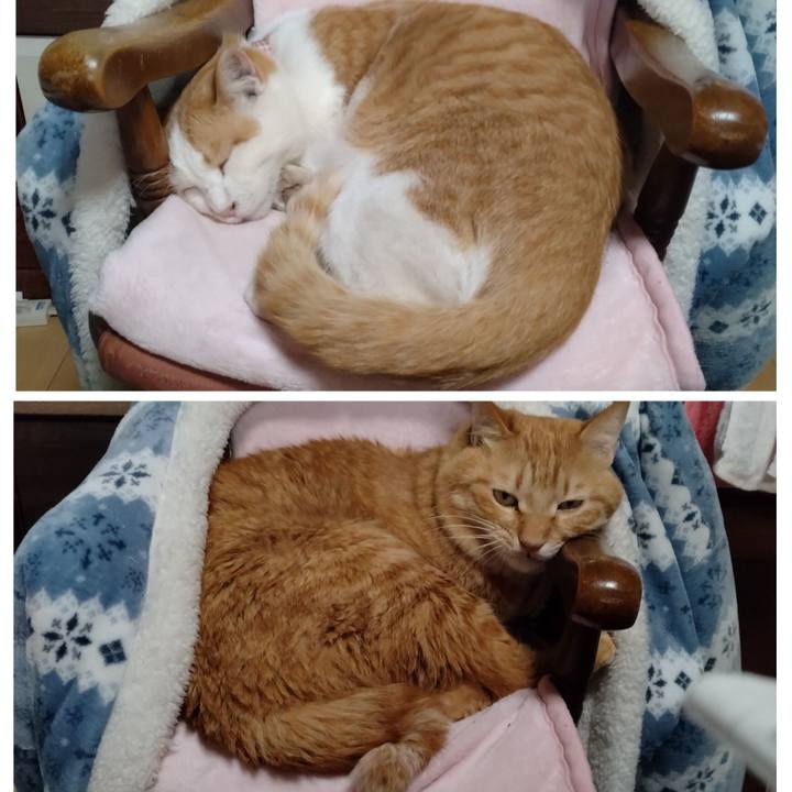 Ff32d8b7 8535 451d 9d15 122a192369ac 1741930070251