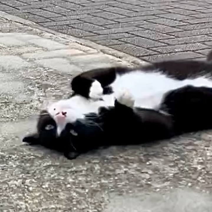 Ff32f710 1e0c 4a65 9c5c 117a3b4a5fb7 1729151237824