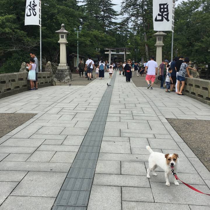 Ff32fa51 d5cc 4851 aa03 a9e0265a0c79 1534425451238