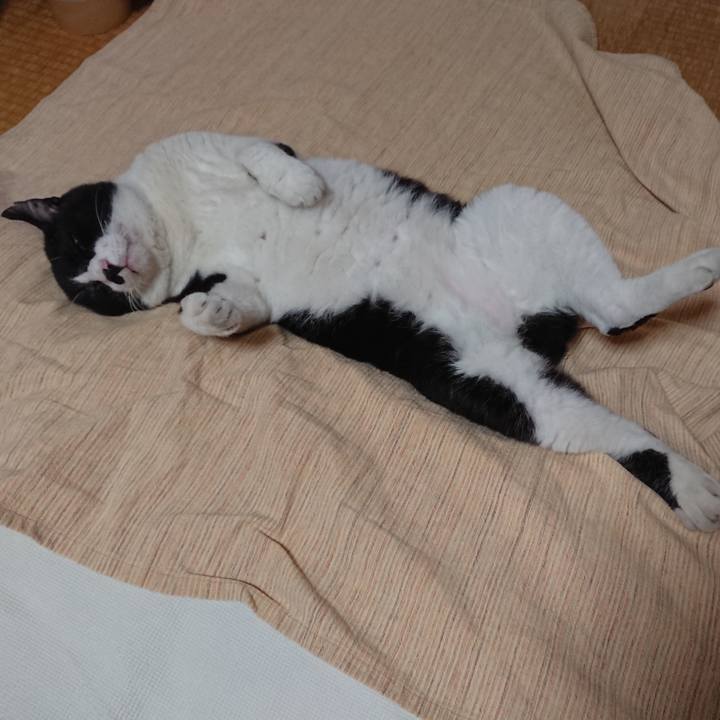 Ff332911 1caa 418e 8a04 9359dff02db8 1630204091585