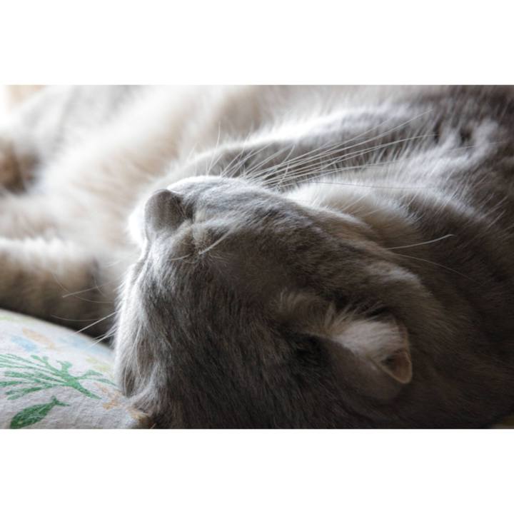 Ff33a334 93a1 412c bbb8 b56336c92d30 1601096673315