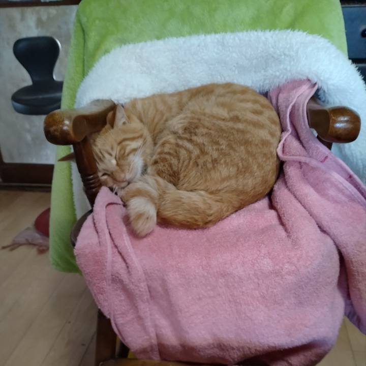 Ff33ebbf 119e 437c a665 6bc9564fc698 1668161922770