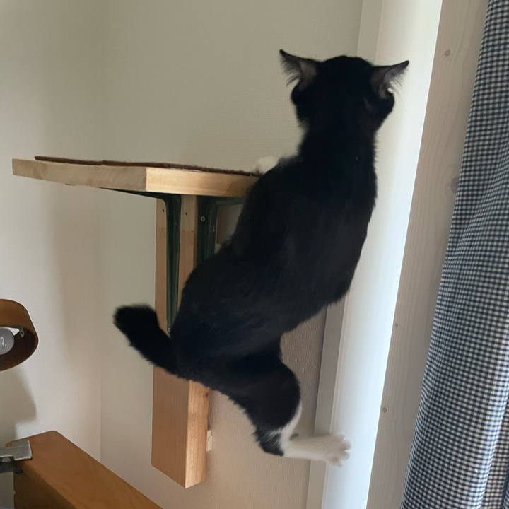 Ff33ed91 2dde 4885 a97f a73258d1b7e7 1709774758053