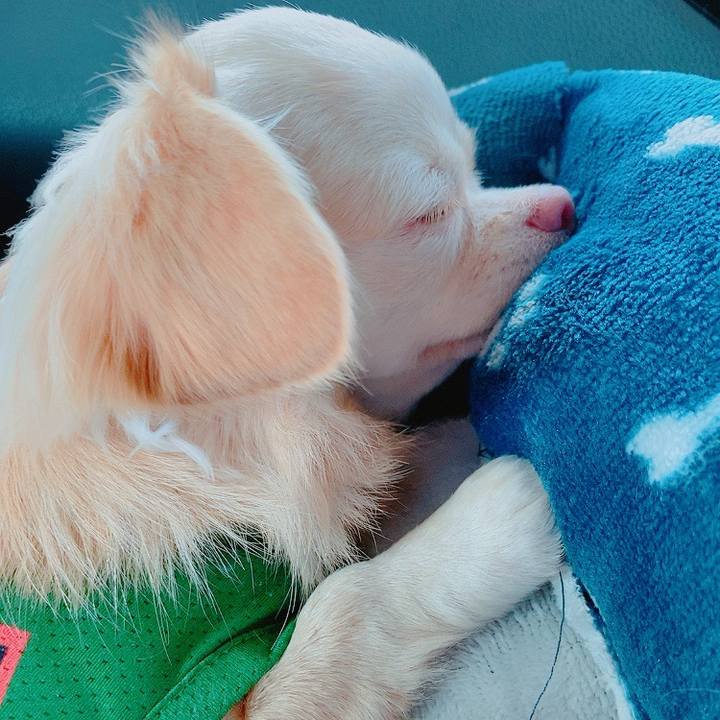 Ff341eac 4f61 4886 987d c2fe2ecc5383 1632135660574