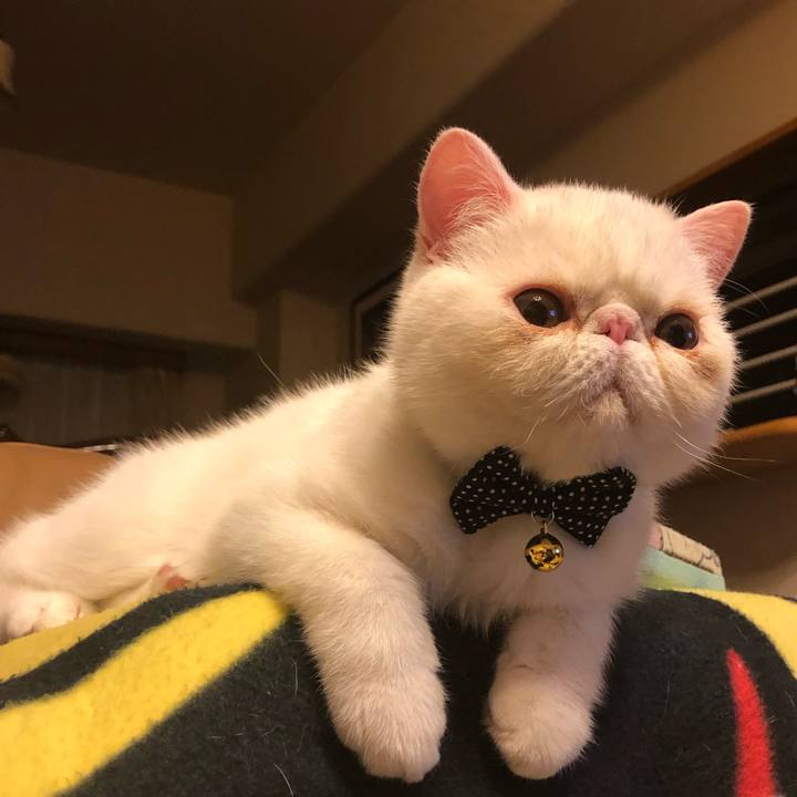 Ff3420ec fe35 4c9f bae8 6c2a6a9800b0 1558134600457