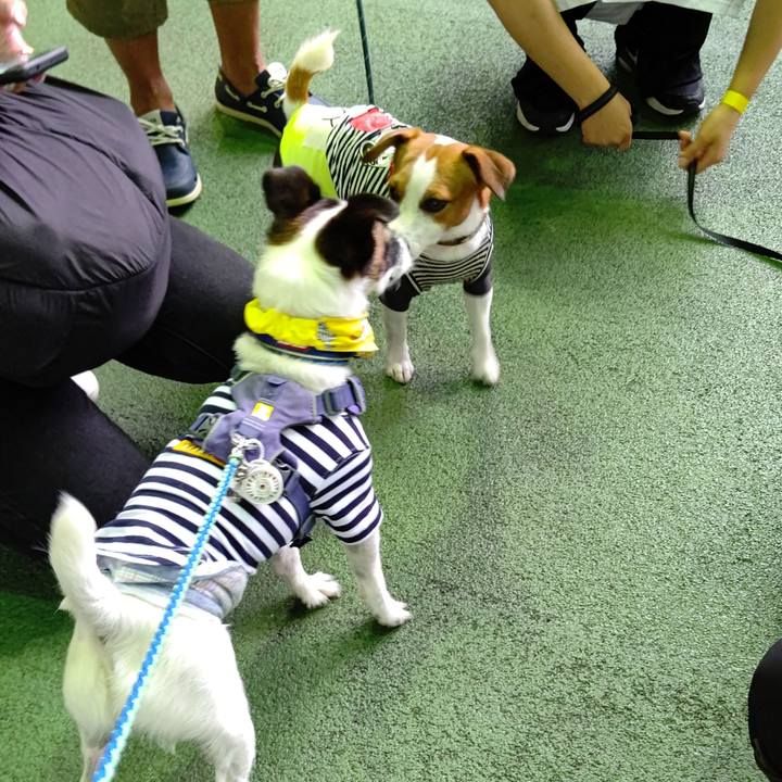 Ff34b09d 7cd6 4946 88de a015a9556409 1661814330717