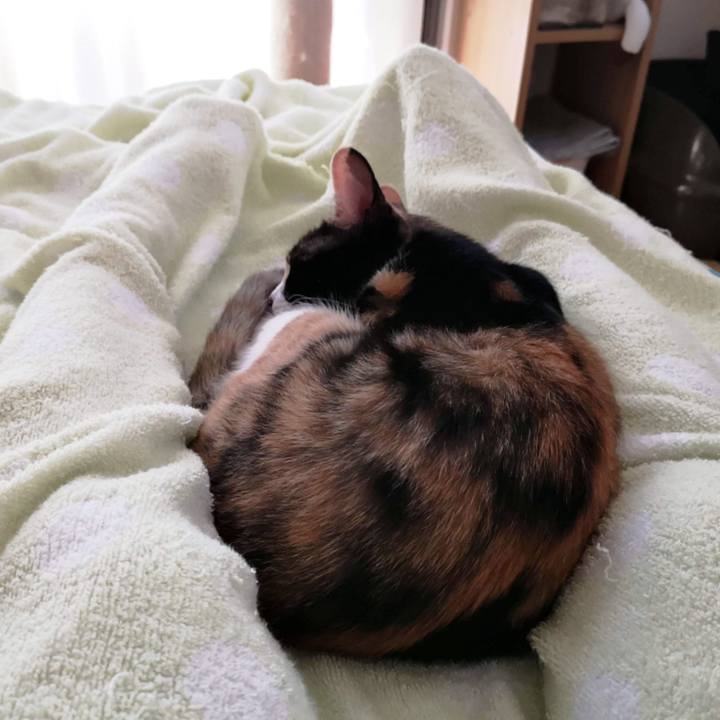 Ff34b3ac 8398 4168 a1fa 9e6e3b93d221 1600227813710