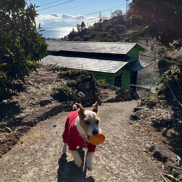 Ff34c884 b816 4de5 8dfd 5314426fc9d8 1769141880336