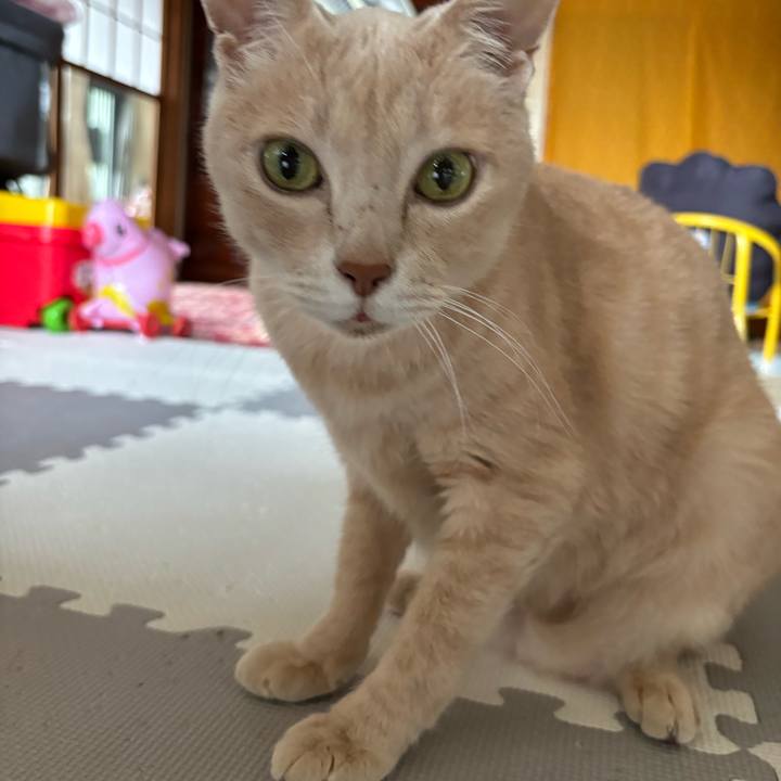 Ff34c964 e782 4d86 9246 5661cdffd6c1 1721199407605