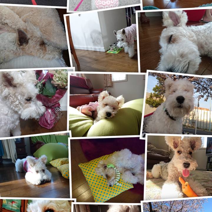 Ff34f04b 2600 4c47 88ba 20d91fe0bc91 1650753701320