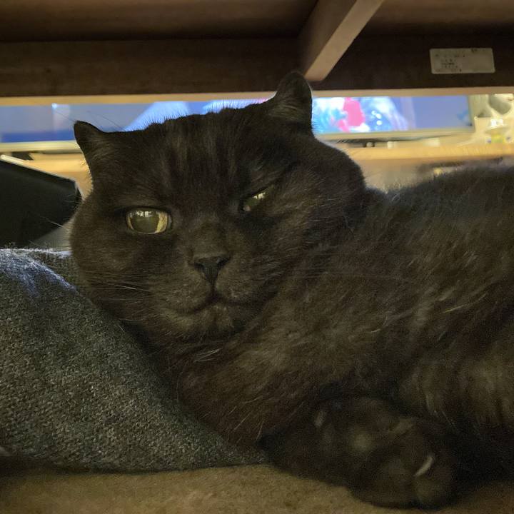 Ff34f1fe 391c 4c11 8d25 8f0c19819ebd 1637944368393