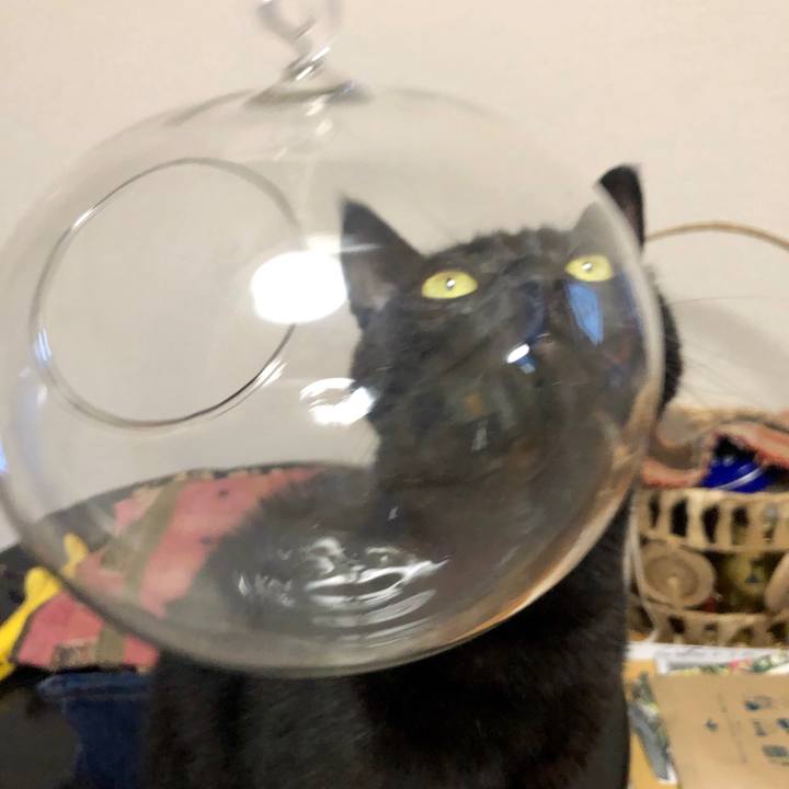 Ff354623 38b8 4d77 824c 6fff46fcd369 1574037190592