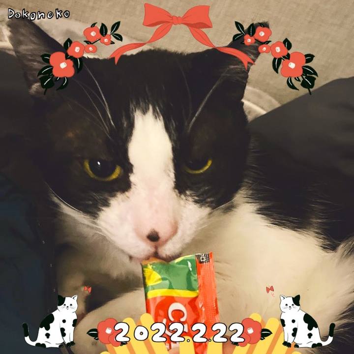 Ff356a55 b989 41a8 803b 7dcbeb755c25 1645527303378