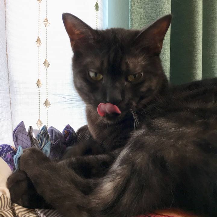 Ff35854c 1eb6 44ed 9f76 50fa96f469ab 1562386364848