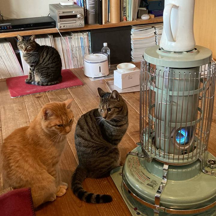 Ff35e585 d386 4b0a 8c64 cb2e756d9da3 1703721003477