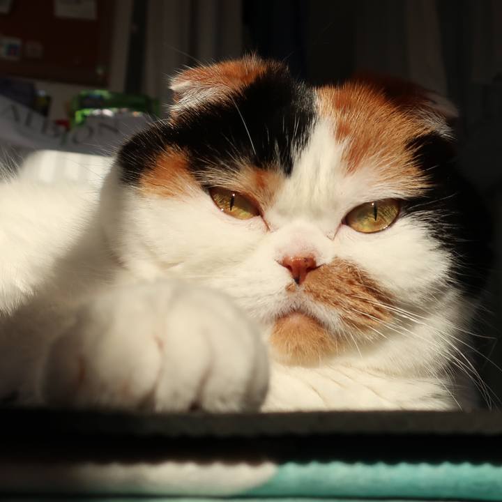 Ff360193 1a7a 4146 b1fa 8a562ab021e2 1652308704709