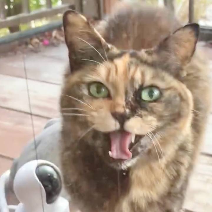 Ff360577 4345 4e9c 8e7d 87d7c4f139ed 1770812323855