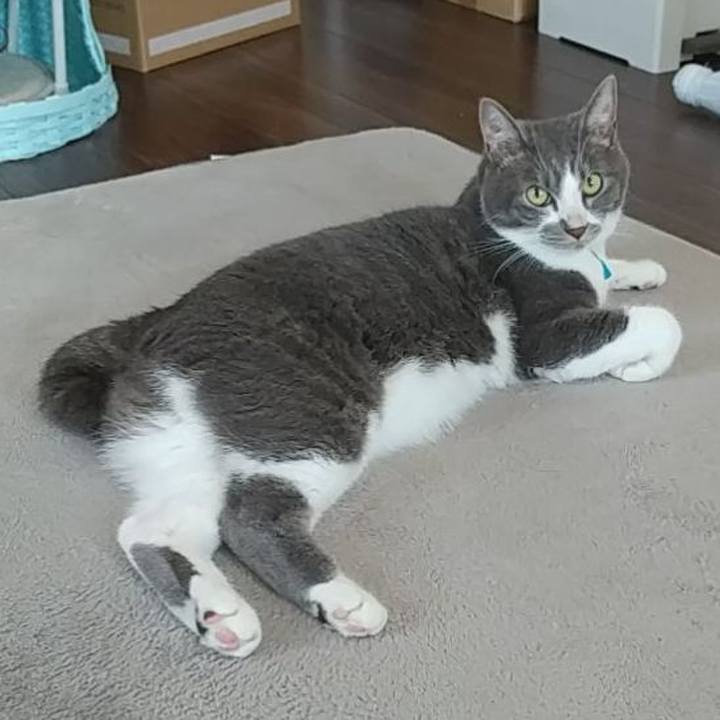 Ff365de9 e852 4f41 883d 2929fde39cc0 1626654460344