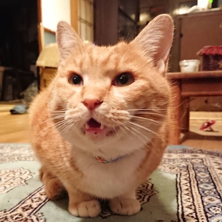 Ff369c66 2c0b 4dde 8045 8511bed6e362 1576659243262