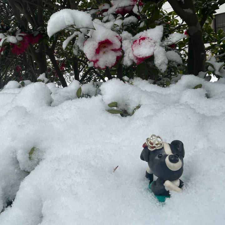 Ff36afdd 8267 4cde 921d be245fa9f034 1770548647841