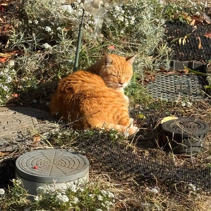 Ff36b863 10c8 45cc a6df ea36f69b263f 1765937683341