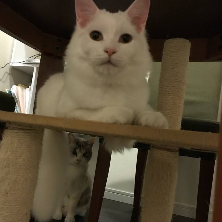 Ff36c030 75cd 45bb bdb7 636735b60ef3 1518351581978