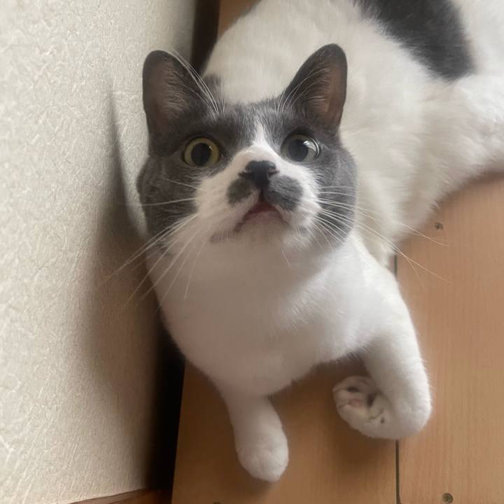 Ff36d8b8 235e 4c28 bcd3 f11d453b9771 1728253575266