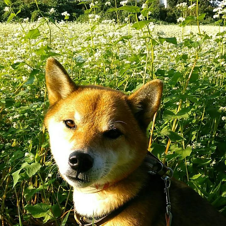 Ff372897 8b40 40a4 ab8a f4aa7b9a64d9 1569486562656