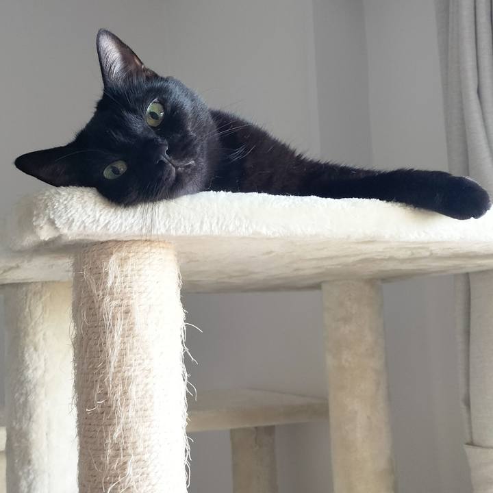 Ff378334 287f 49b4 b089 78290228a5a0 1691620091531