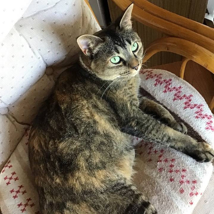 Ff3784ff f6df 4229 a0b4 37369e744baa 1660909418659