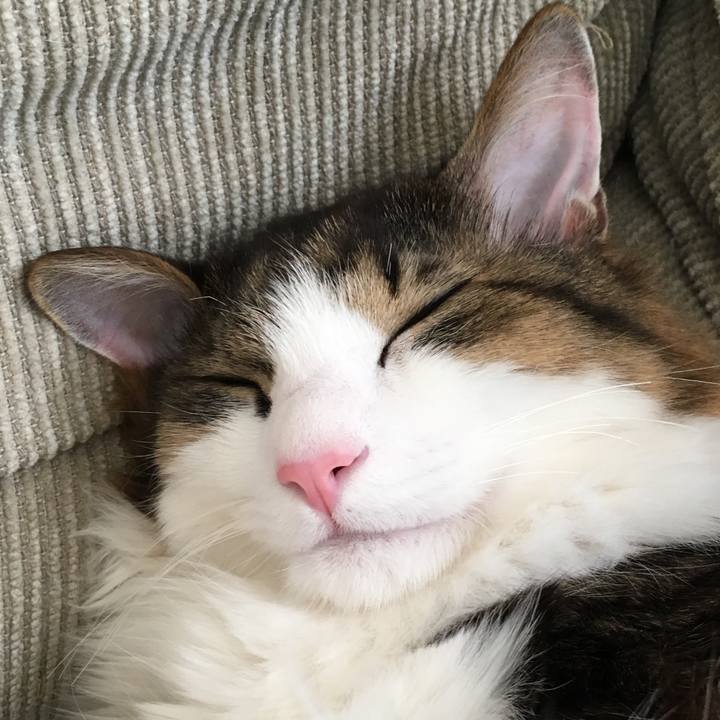 Ff378668 a725 4557 8396 a04d35d8dbf6 1550885513752