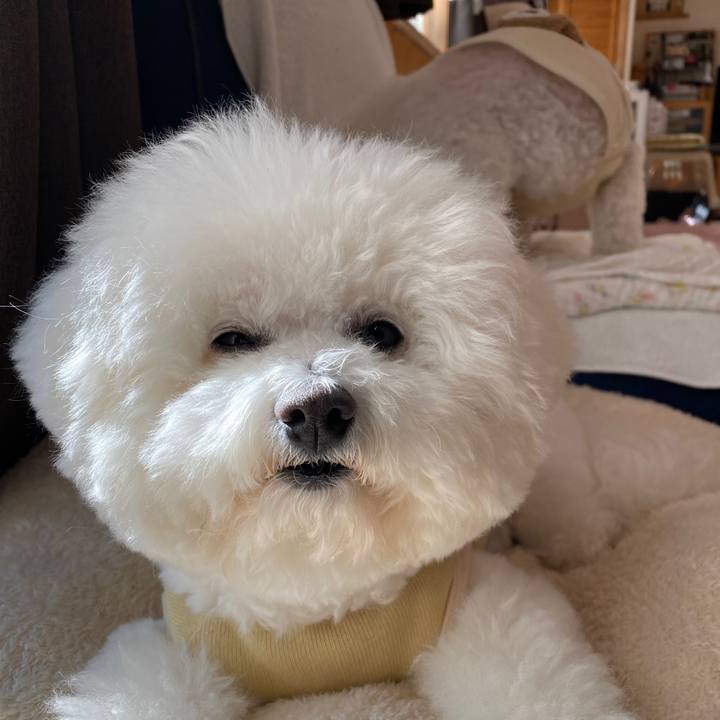 Ff379b8f 22ab 45d4 800f 658f35b9cb27 1641780536785